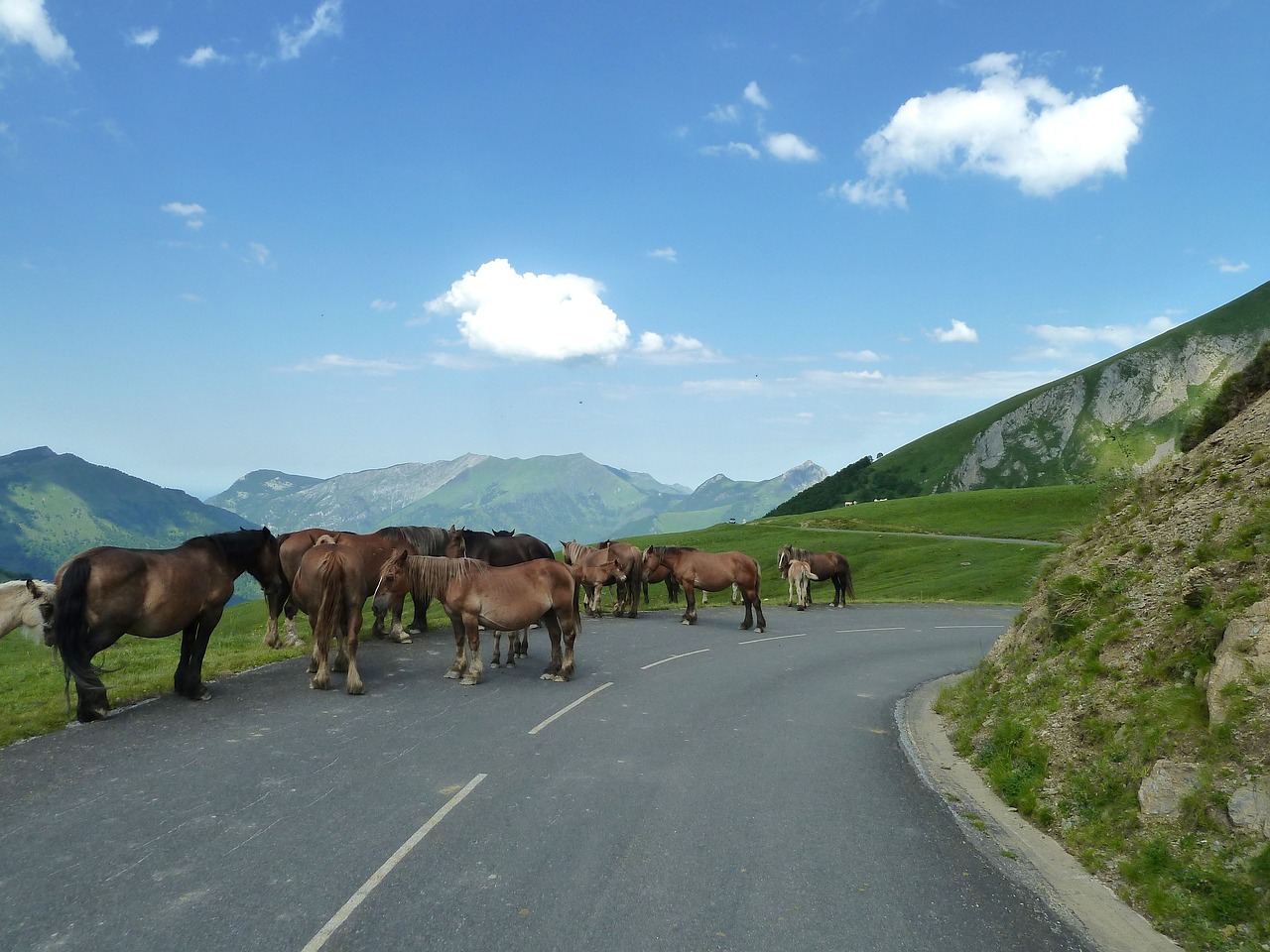 甘肃景点必去指南，解锁最新旅游胜地