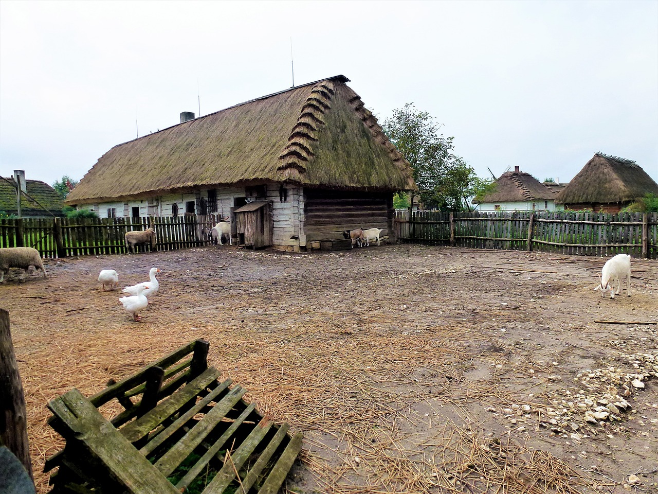 广州乡村探秘，最新乡村旅游目的地指南