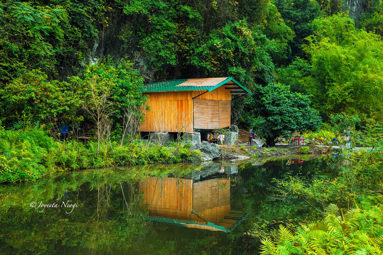 广州乡村探秘，最新乡村旅游目的地指南