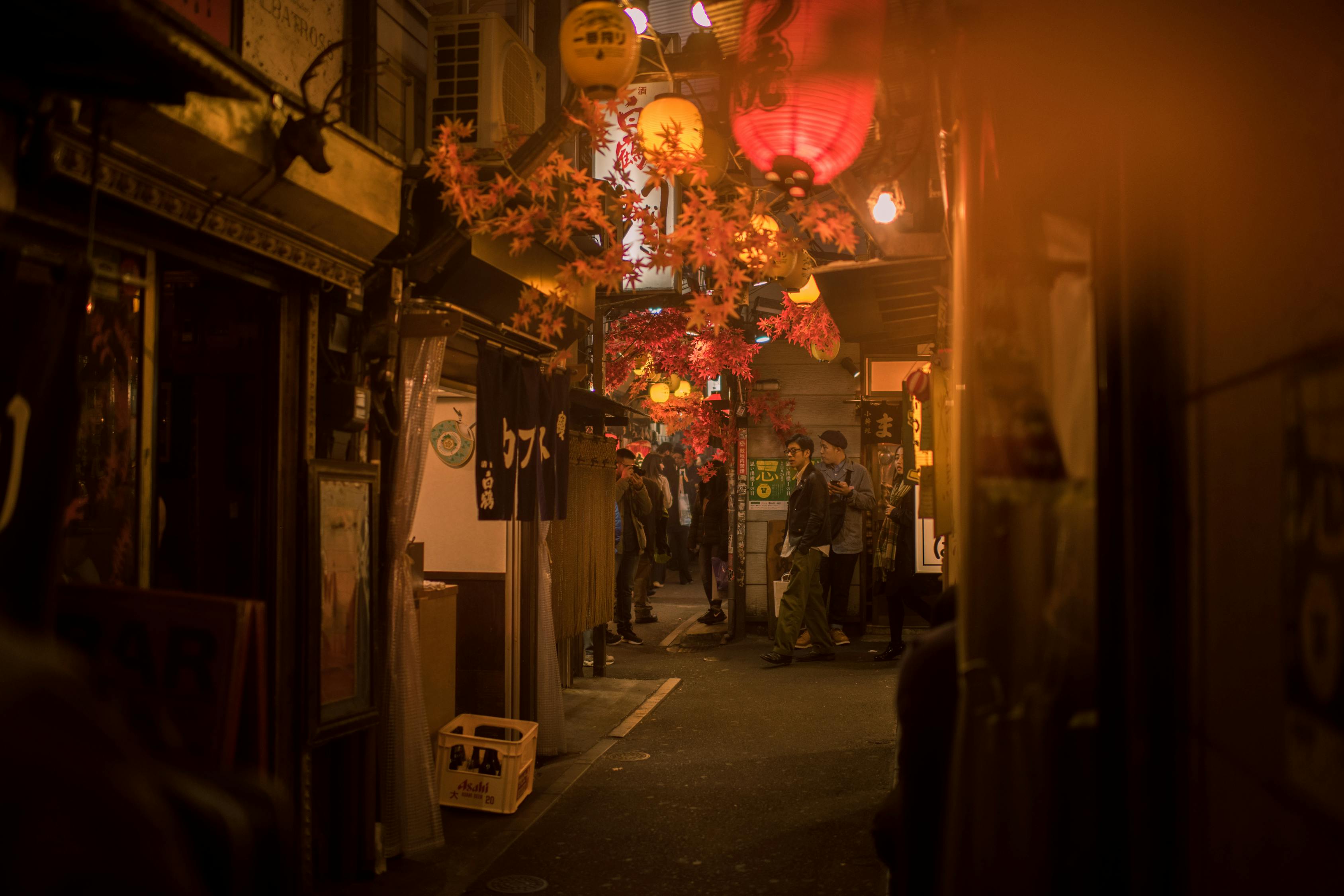 承志饭店深度解析，一次难忘的旅行住宿体验