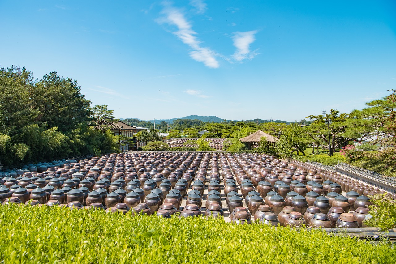 平和哪个乡镇好？最新旅游指南带你探索最佳目的地