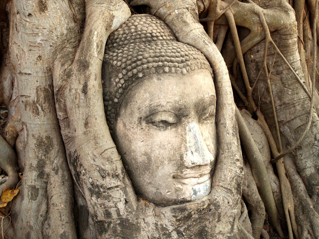 泰国最灵验佛像全解析，祈福之旅从这里开始